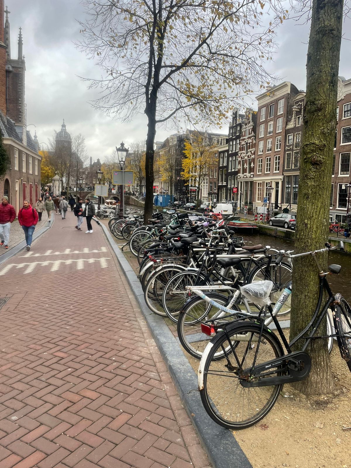 Bicicletas de Ámsterdam en el espíritu.