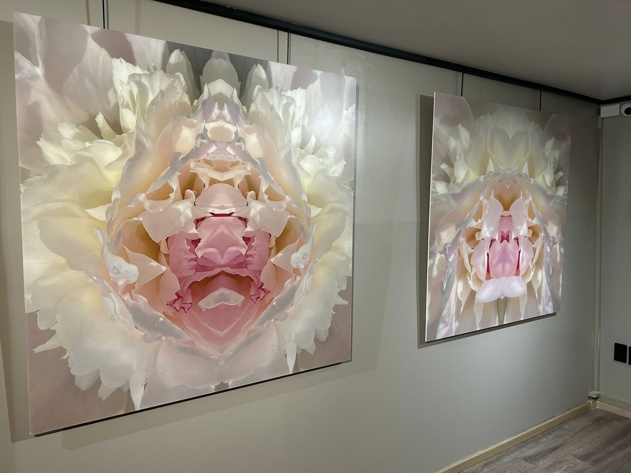 Subconscious Bloom de Hugo Maza, una exposición que explora la geometría, la sensualidad y la simetría de la flores.