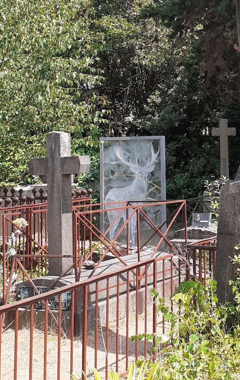 Animales extraños en El cementerio de la Misericordia.