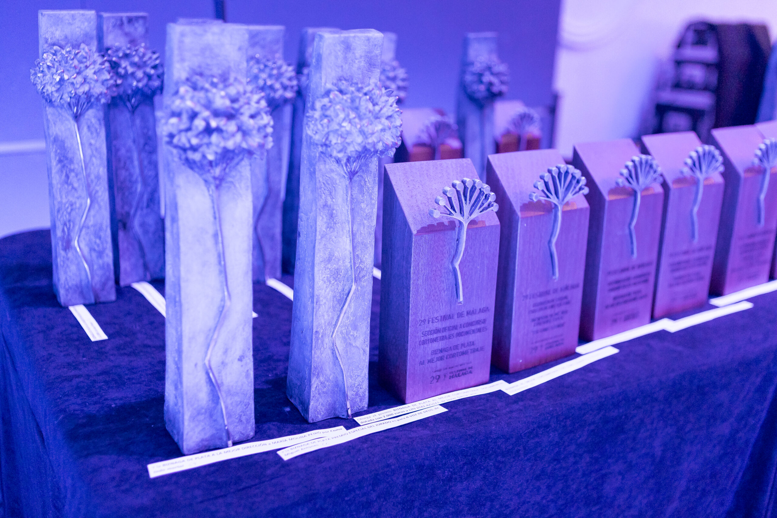 México brilla en el Festival de Málaga: «Oca» y «El jardín que soñamos» se llevan la Biznaga